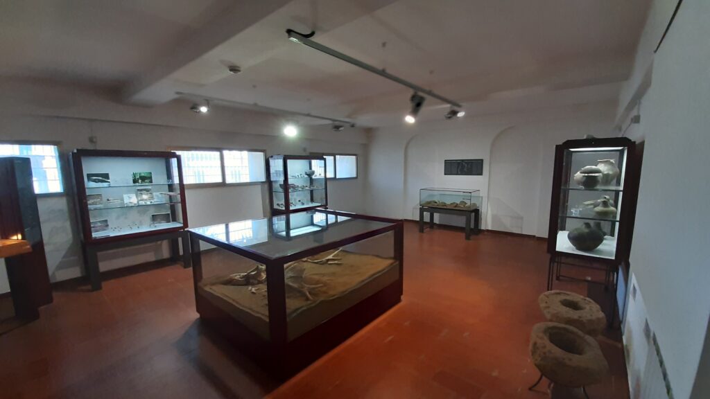 La storia del Museo Archeologico Lotti di Ischia di Castro